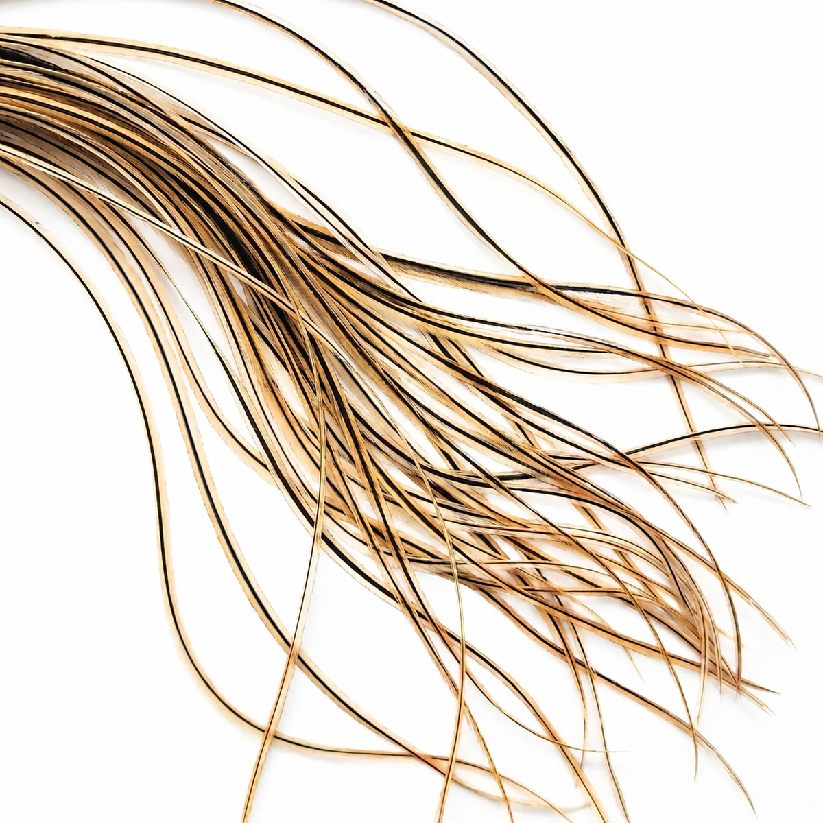 Golden Badger Hair Feather