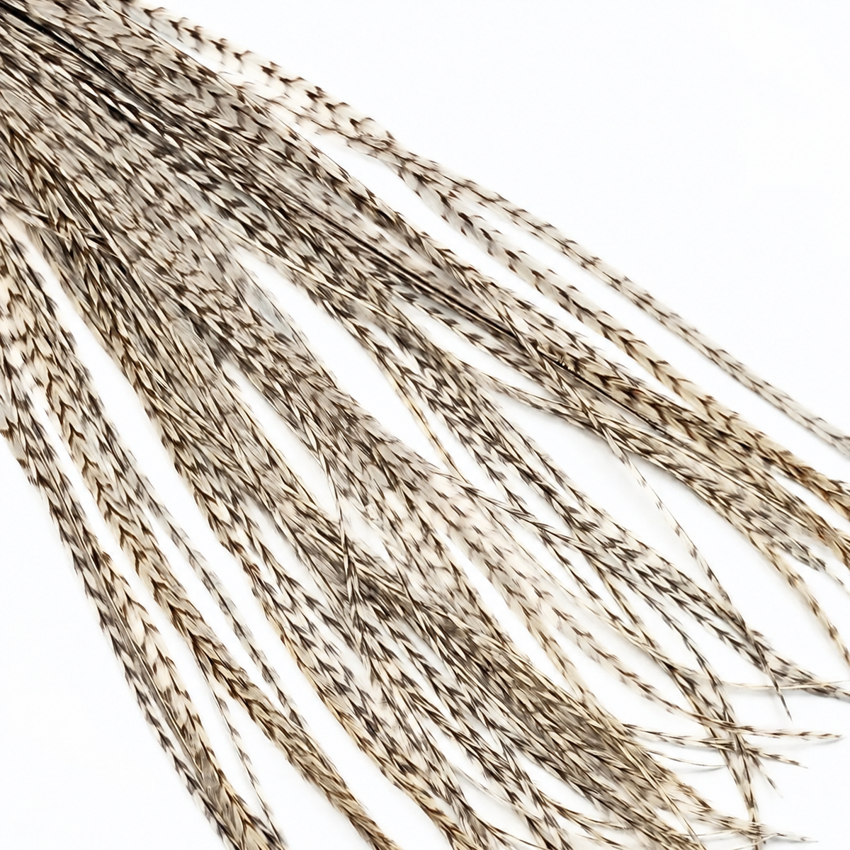 Natural Dun Grizzly Hair Feather