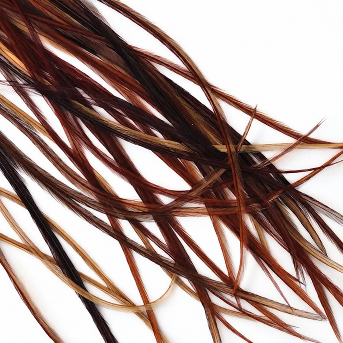 Natural Medium Brown Hair Feather