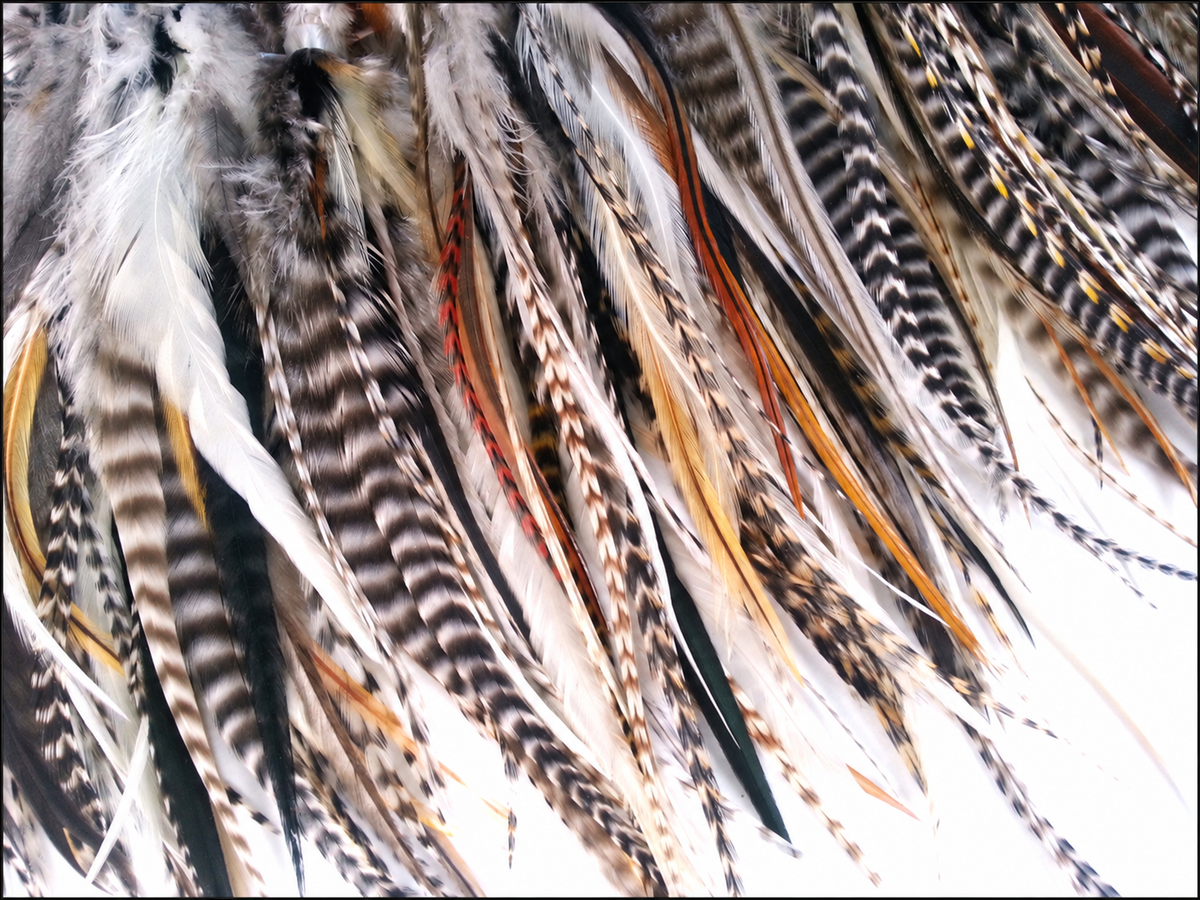 Assorted natural-tone wide rooster feathers with fluffy tops, 5–7 inches