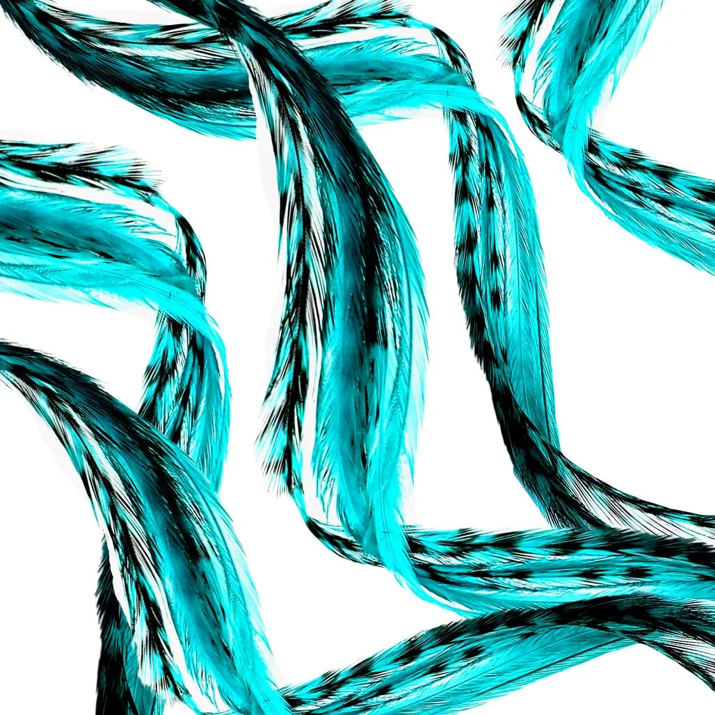Aqua Blue feather color reference from Feather My Head's single-color collection; photo illustrates the shade, not the ordered quantity or length.