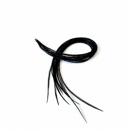 Black Solid Dyed feather color reference from Feather My Head's single-color collection; photo illustrates the shade, not the ordered quantity or length.