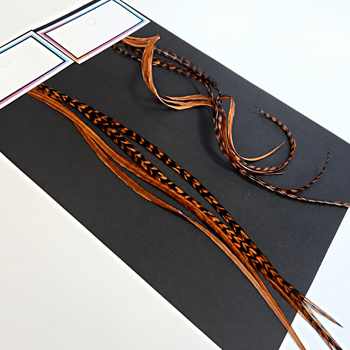 Brown Dyed feather color reference from Feather My Head's single-color collection; photo illustrates the shade, not the ordered quantity or length.