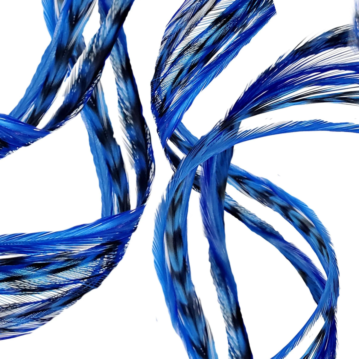 Electric Blue feather color reference from Feather My Head's single-color collection; photo illustrates the shade, not the ordered quantity or length.