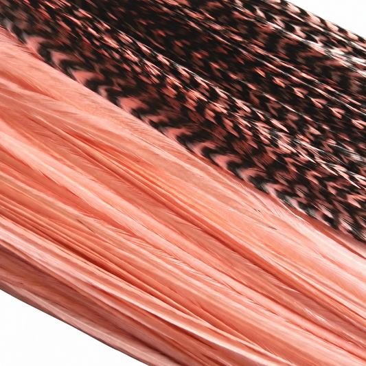 Coral Orange Hair Feather shown in the product photograph