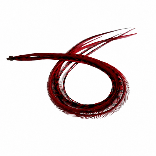 Burgundy Red Hair Feather shown in the product photograph