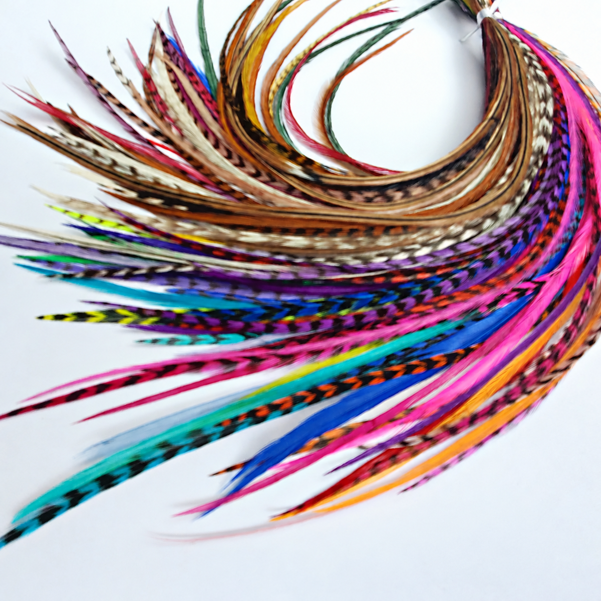 Colored and Natural Hair Feathers (11-14") - Salon Bulk Pack (50) shown in the product photograph
