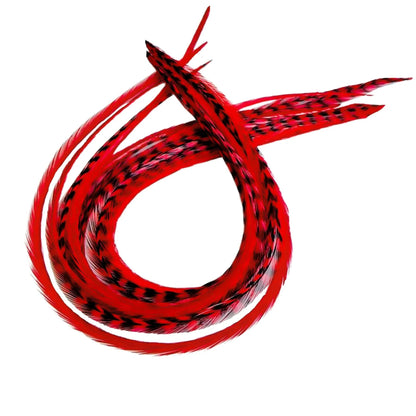 Red feather color reference from Feather My Head's single-color collection; photo illustrates the shade, not the ordered quantity or length.