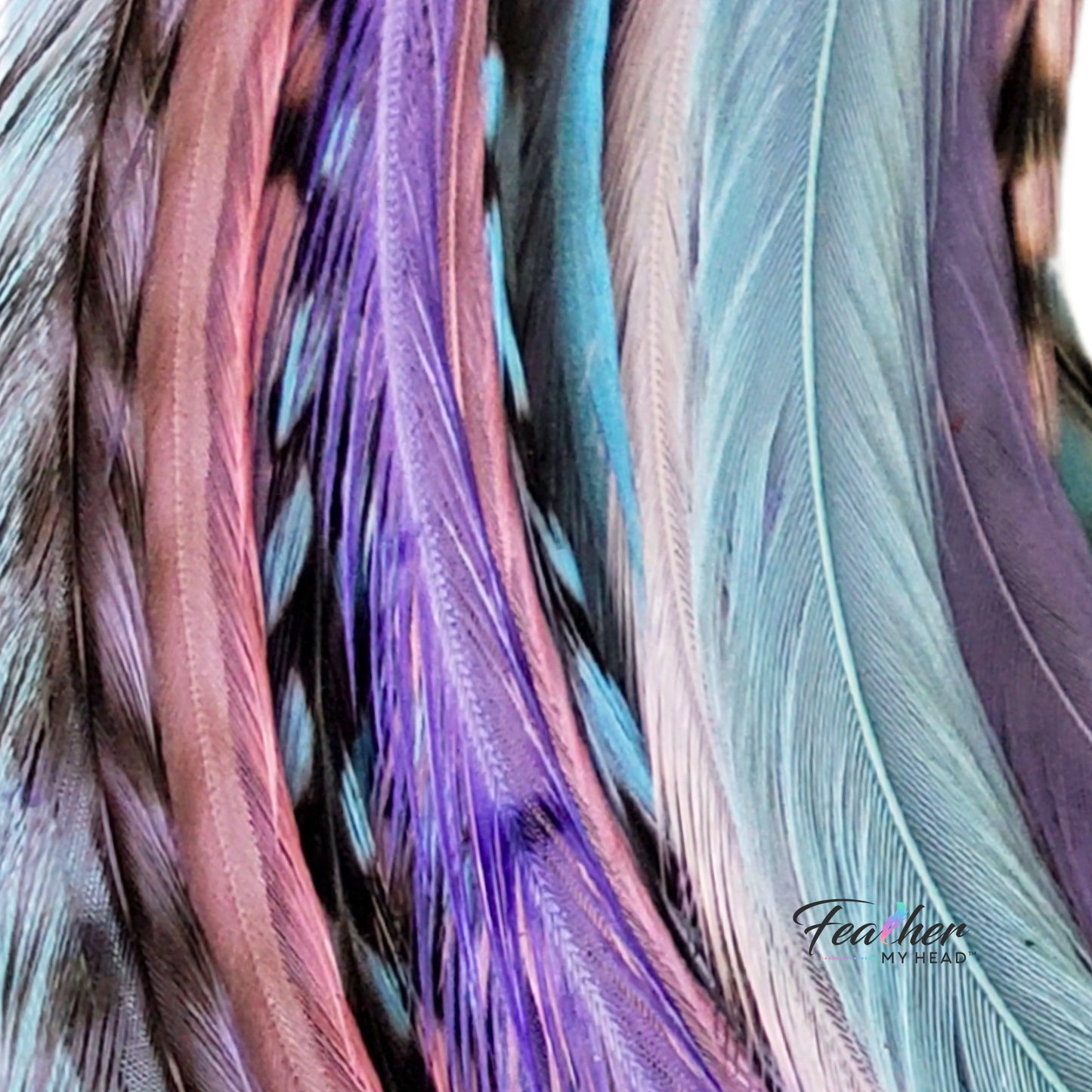 Frosted Cupcake feather hair extension mix featuring pastel pink and blue rooster feathers.