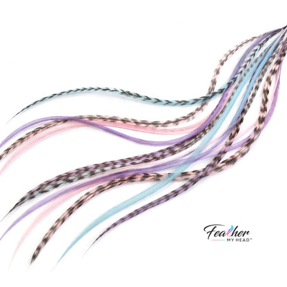 Frosted Cupcake feather hair extensions arranged in a pastel color blend.