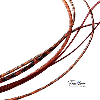 Ginger Brown Hair Feather | Feather My Head rooster feather hair extensions