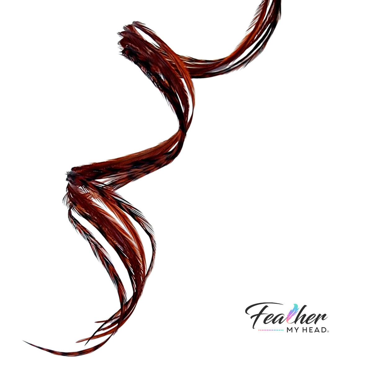 Ginger Brown Hair Feather | Feather My Head rooster feather hair extensions
