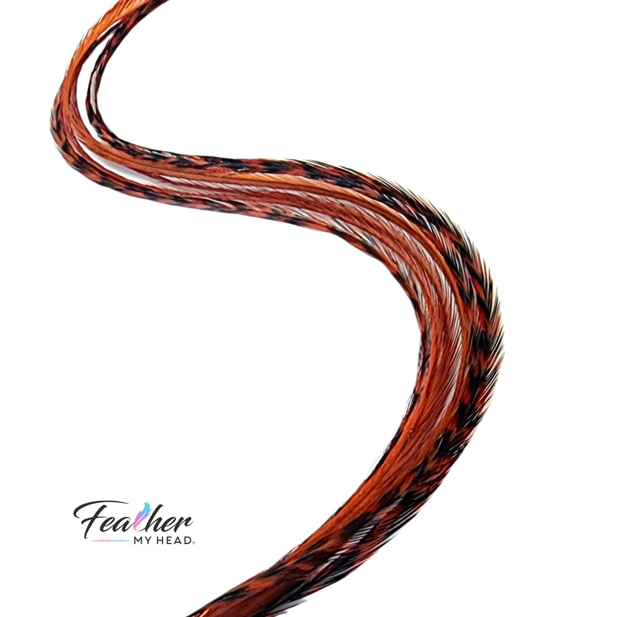 Ginger Brown Hair Feather | Feather My Head rooster feather hair extensions