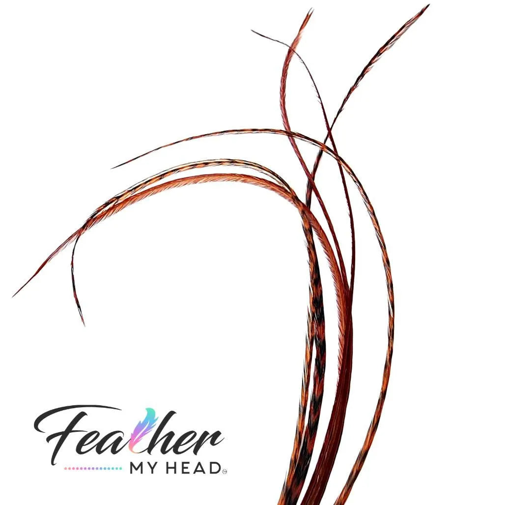 Ginger brown hair feather extensions