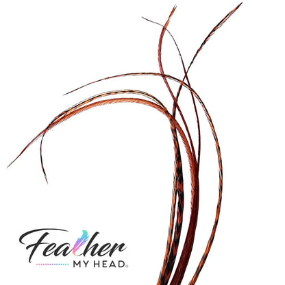 Ginger brown hair feather extensions