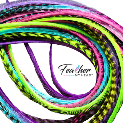 Pink, Green, Purple and Blue Hair Feather - Bundle