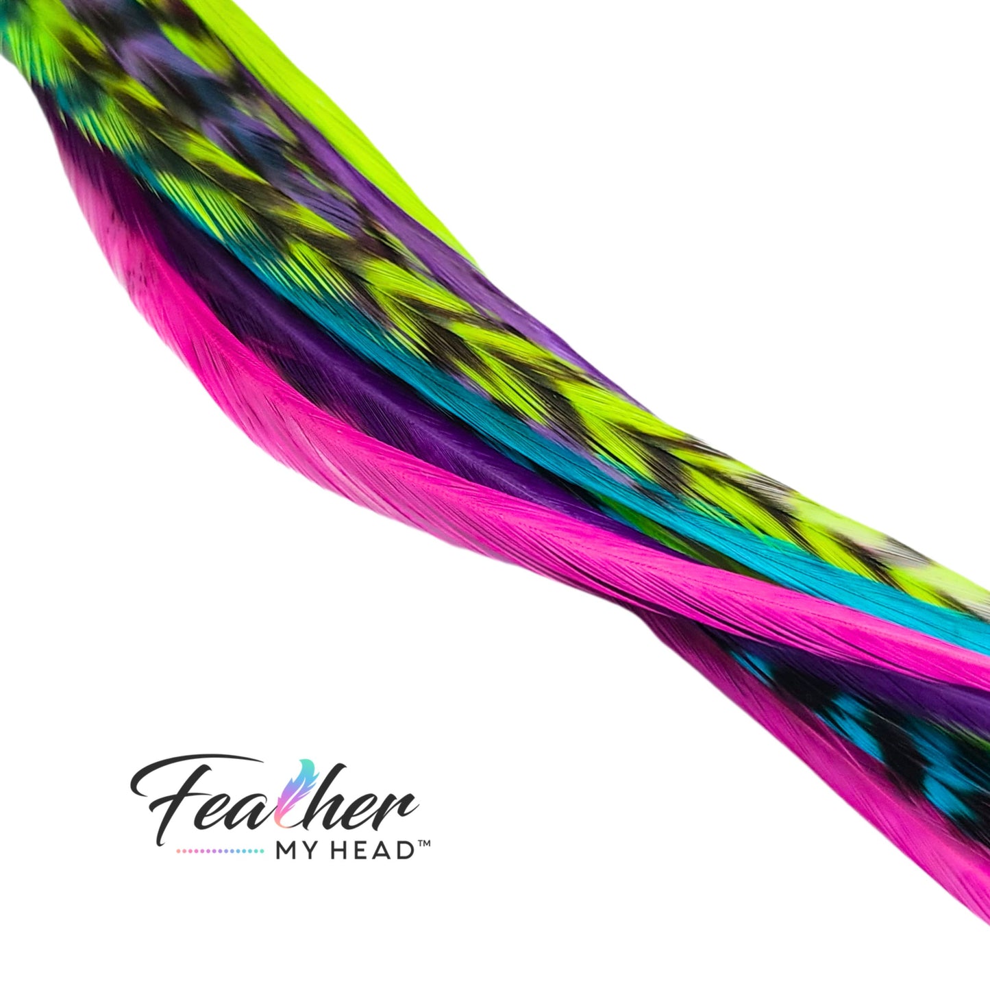 Pink, Green, Purple and Blue Hair Feather - Bundle