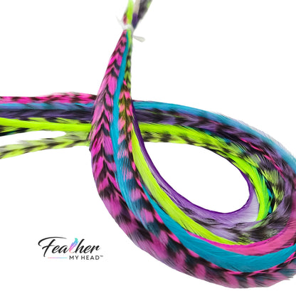 Pink, Green, Purple and Blue Hair Feather - Bundle