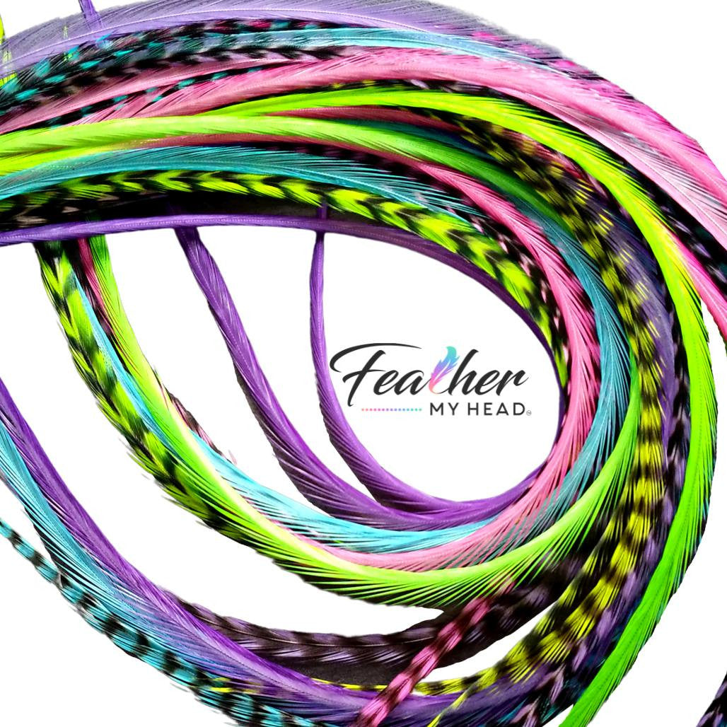 Feather My Head Hair Feathers in colors of pink, green and blue