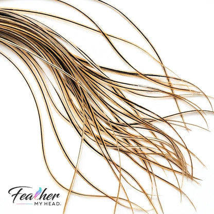 Golden Badger Hair Feather