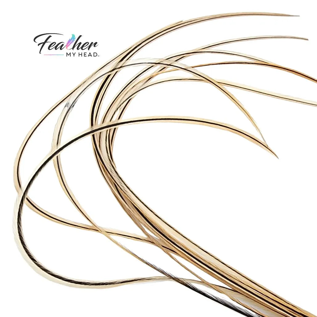 Golden Badger Hair Feather