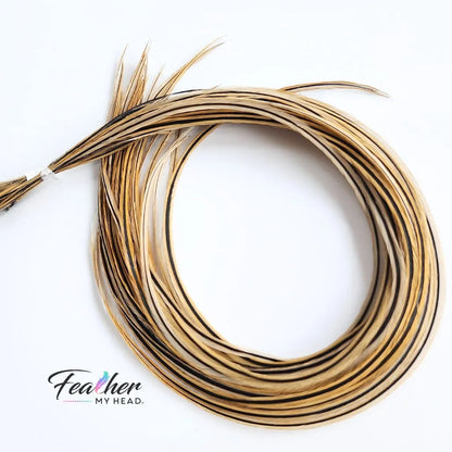 Golden Badger Hair Feather