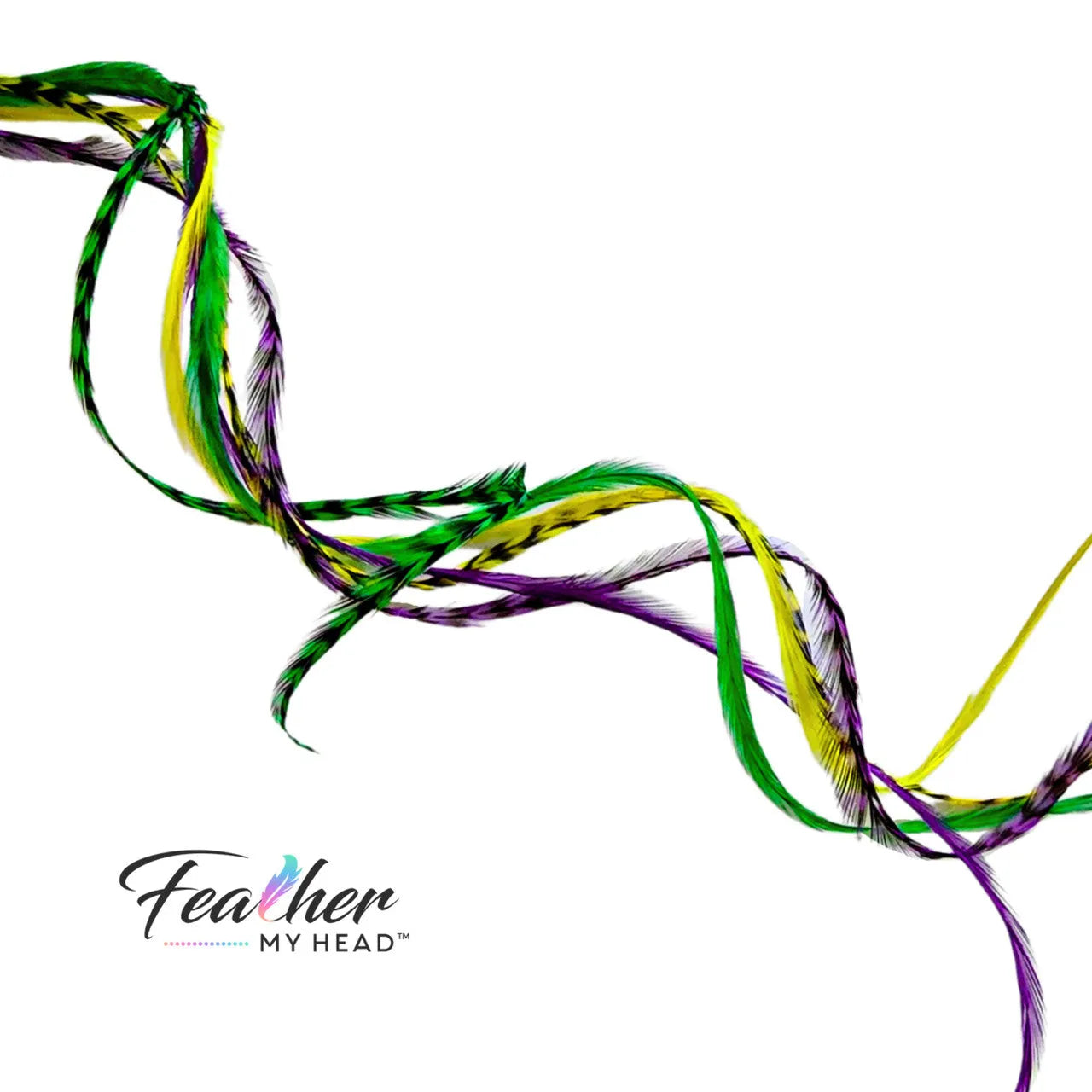 Add festive Mardi Gras hair feathers to your carnival look with our premium purple, green, and gold feather extensions that bring the spirit of New Orleans.

