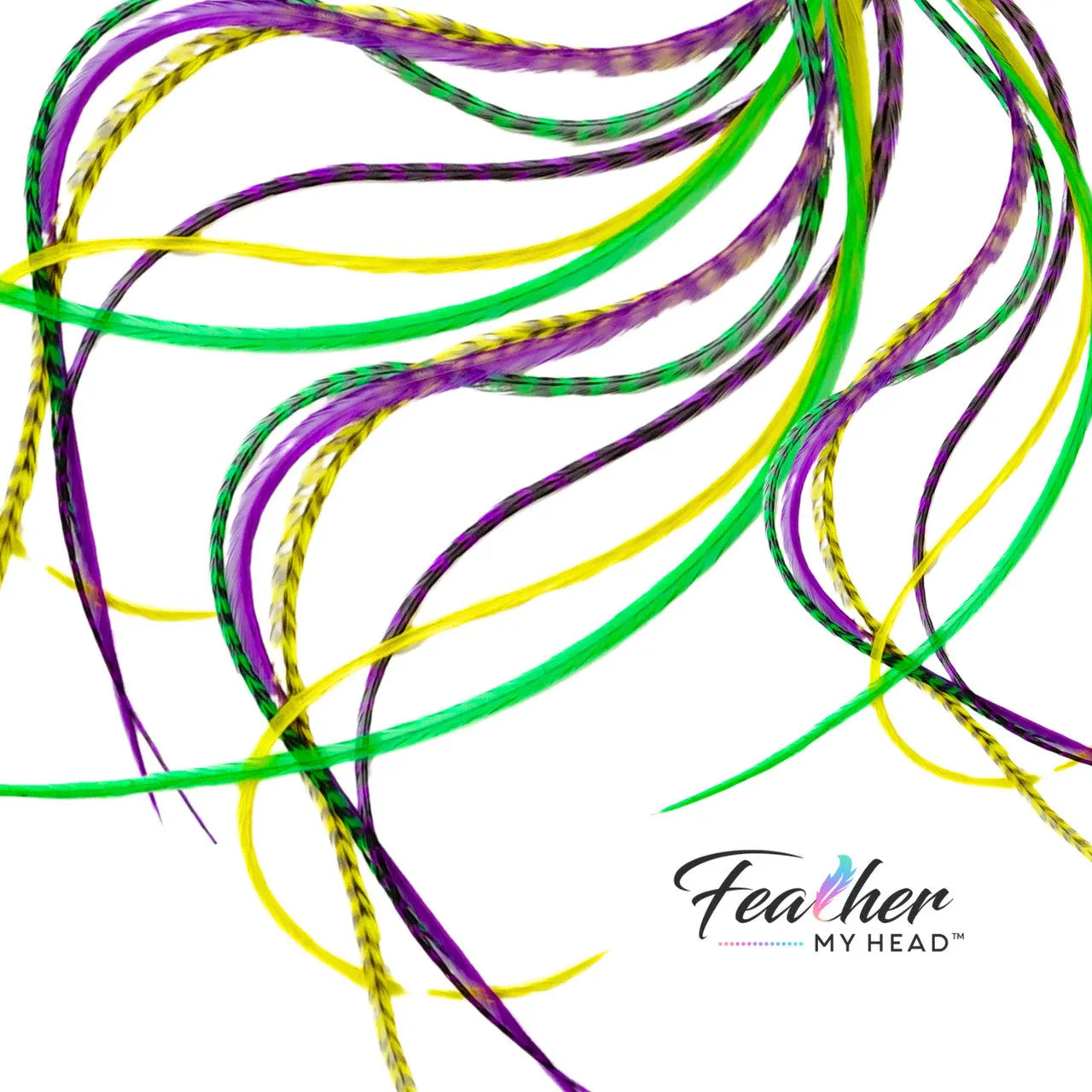Add festive Mardi Gras hair feathers to your carnival look with our premium purple, green, and gold feather extensions that bring the spirit of New Orleans.

