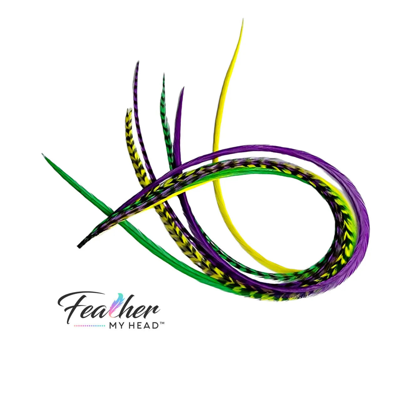Add festive Mardi Gras hair feathers to your carnival look with our premium purple, green, and gold feather extensions that bring the spirit of New Orleans.

