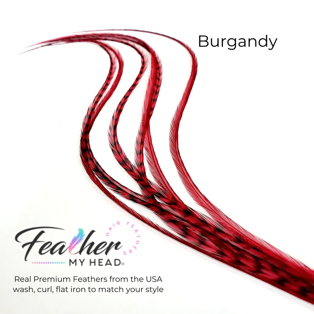 Hair feather extension kit in burgundy red feathers