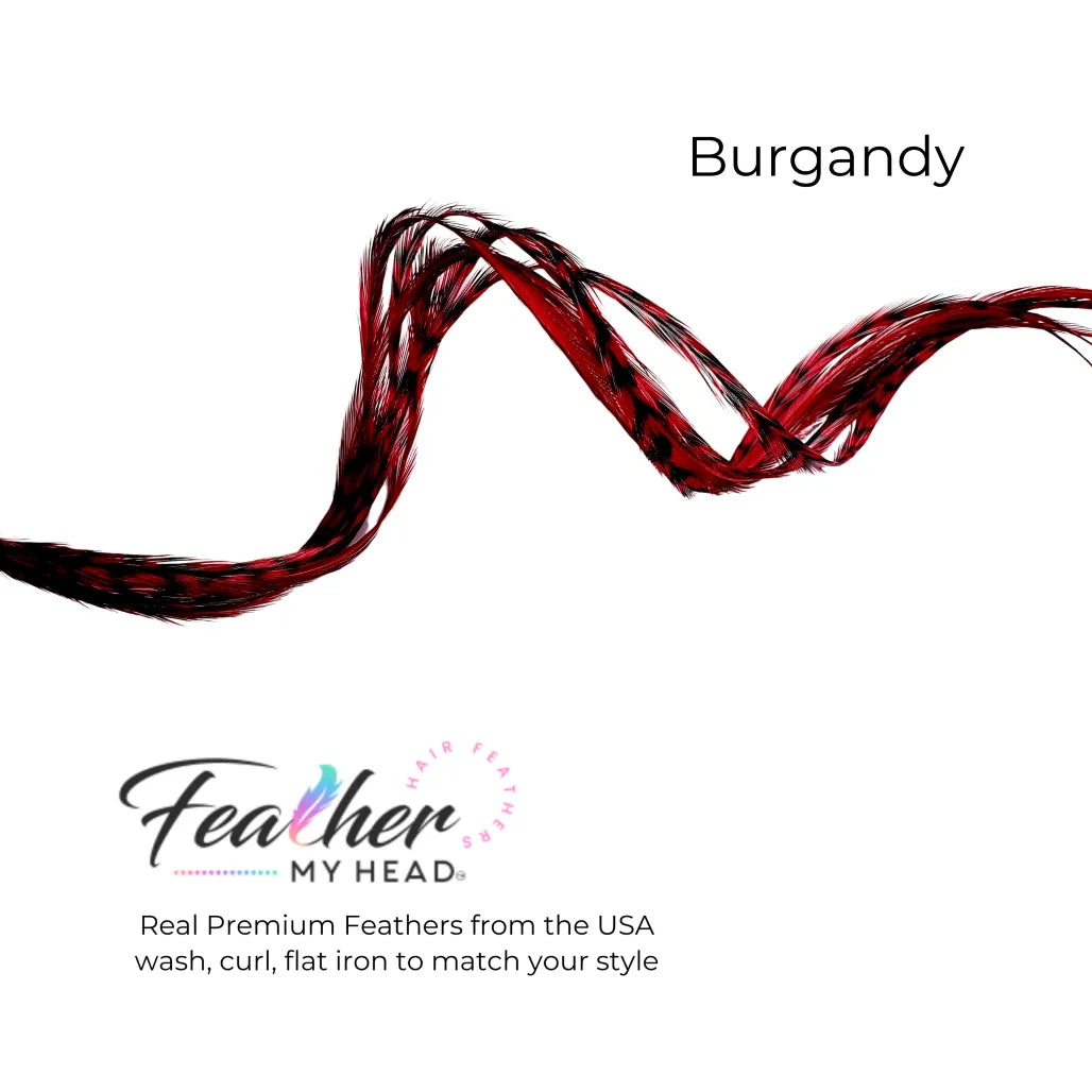 Hair feather extension kit in burgundy red feathers