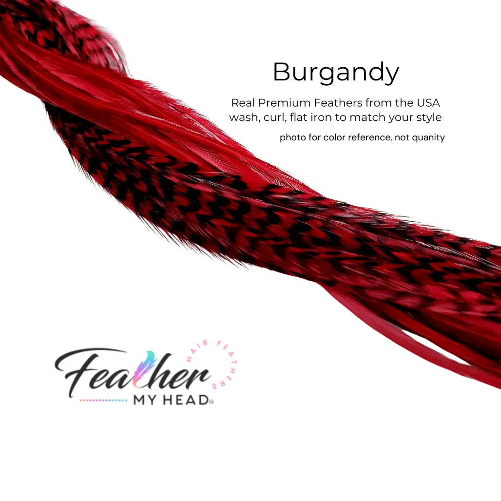 Hair feather extension kit in burgundy red feathers