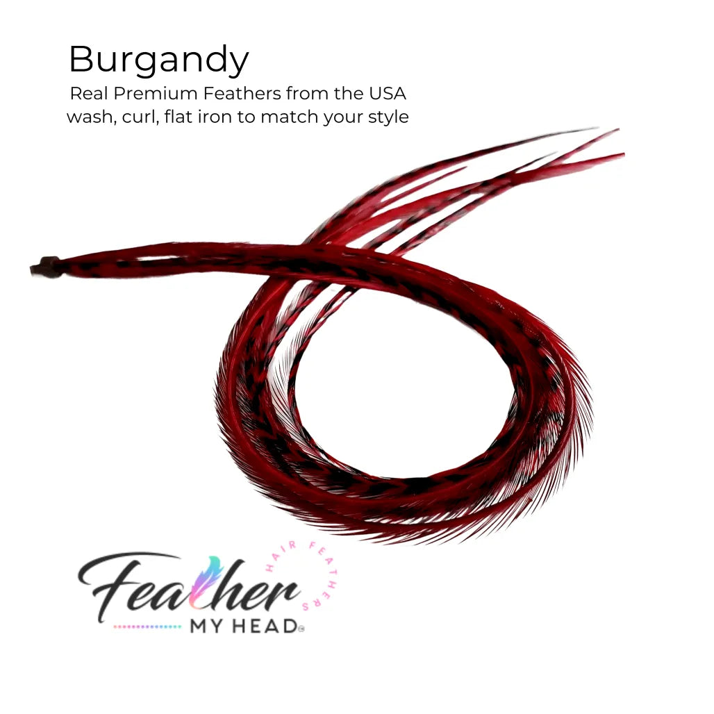 Hair feather extension kit in burgundy red feathers