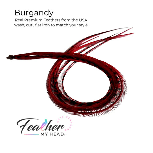 Hair feather extension kit in burgundy red feathers