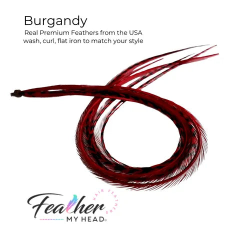 Burgundy Red Hair Feather
