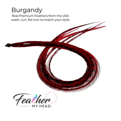 Burgundy Red Hair Feather