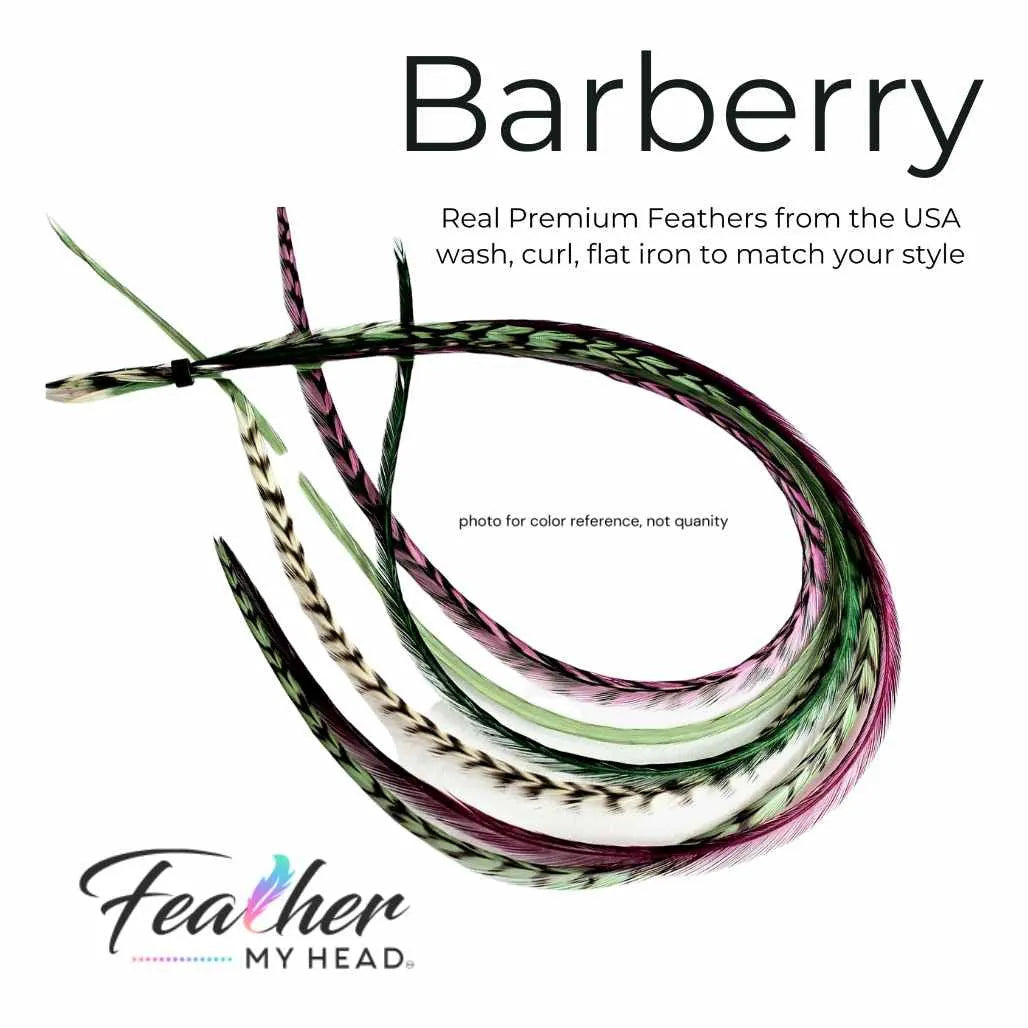 Barberry Hair Feather Extension Collection of hair feathers dyed colors of Plum Purple, Moss Green, Sage Green and Natural Grizzly. 
