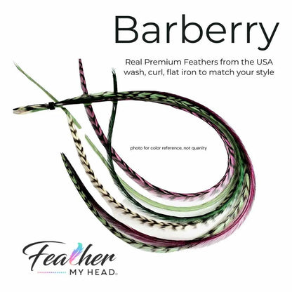 Barberry Hair Feather Extension Collection of hair feathers dyed colors of Plum Purple, Moss Green, Sage Green and Natural Grizzly. 
