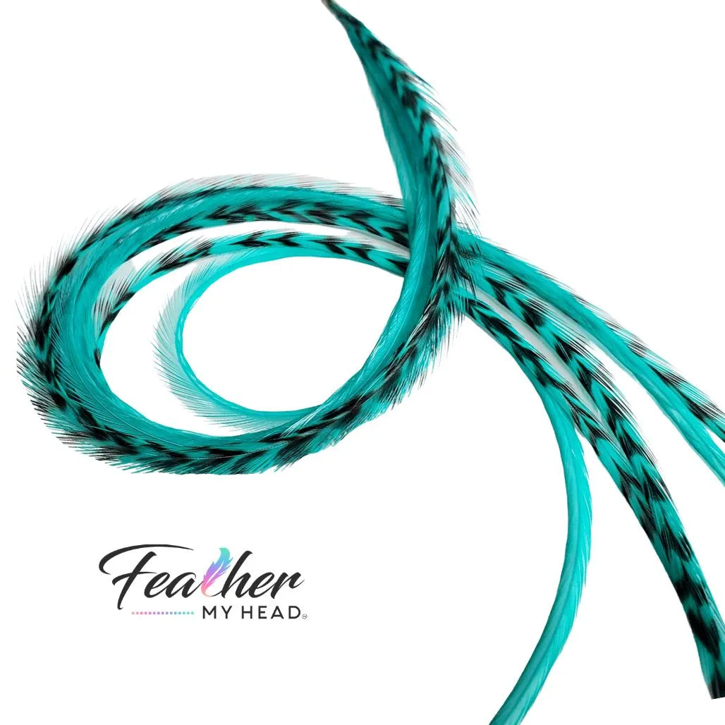 Aqua Blue Hair Feather