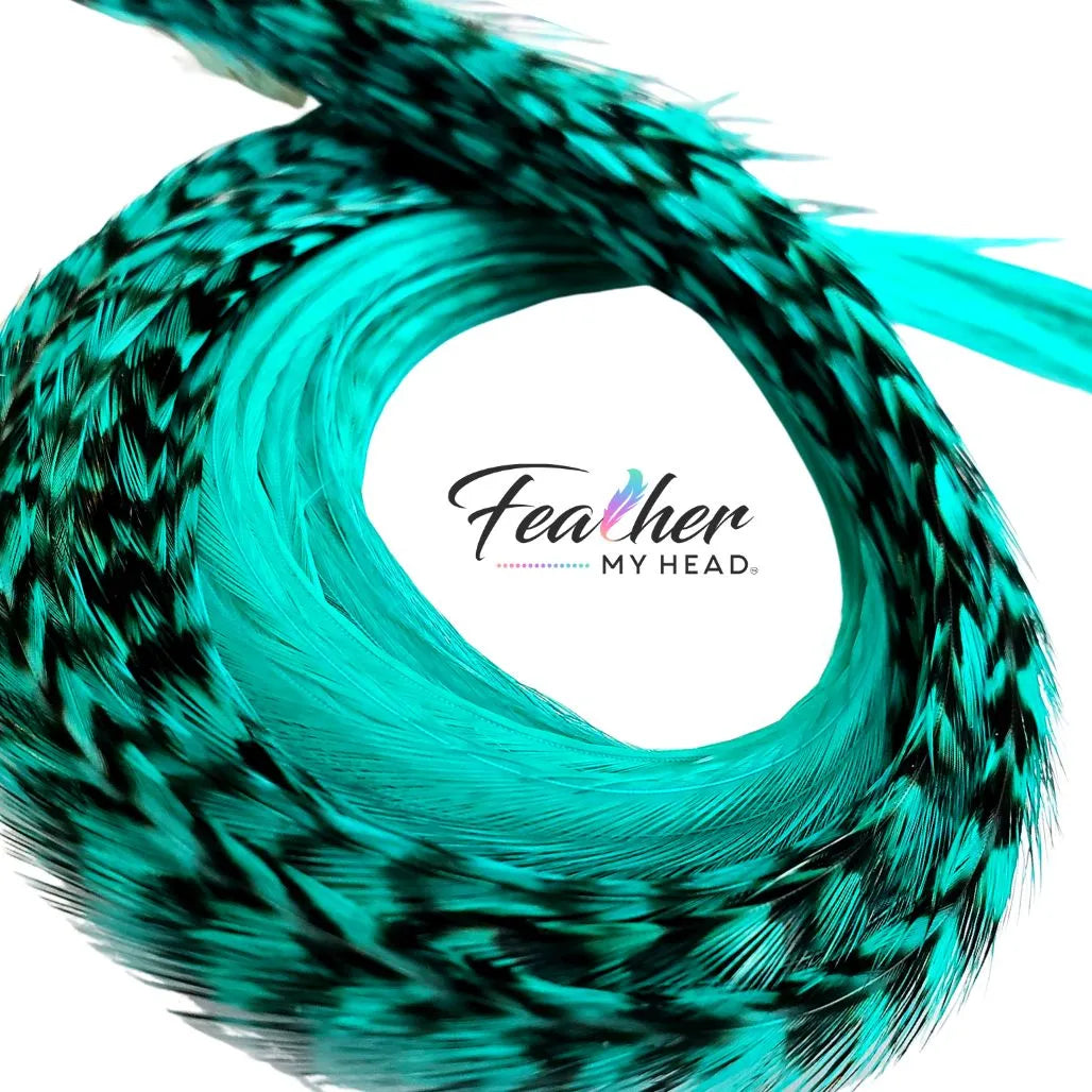 Aqua Blue Hair Feather