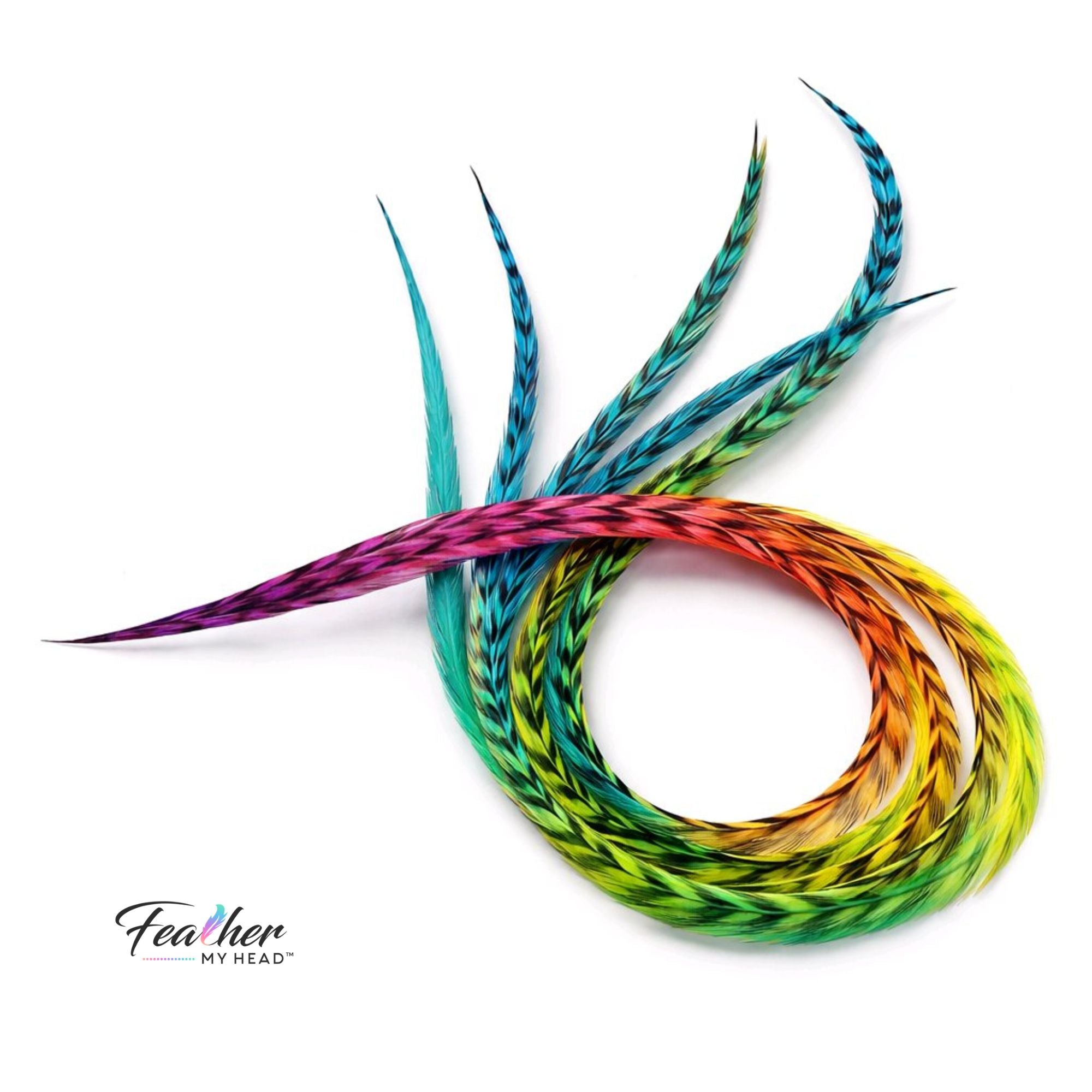 Colorful feather extensions arranged in a circular pattern on a white background with 'Feather My Head' branding.