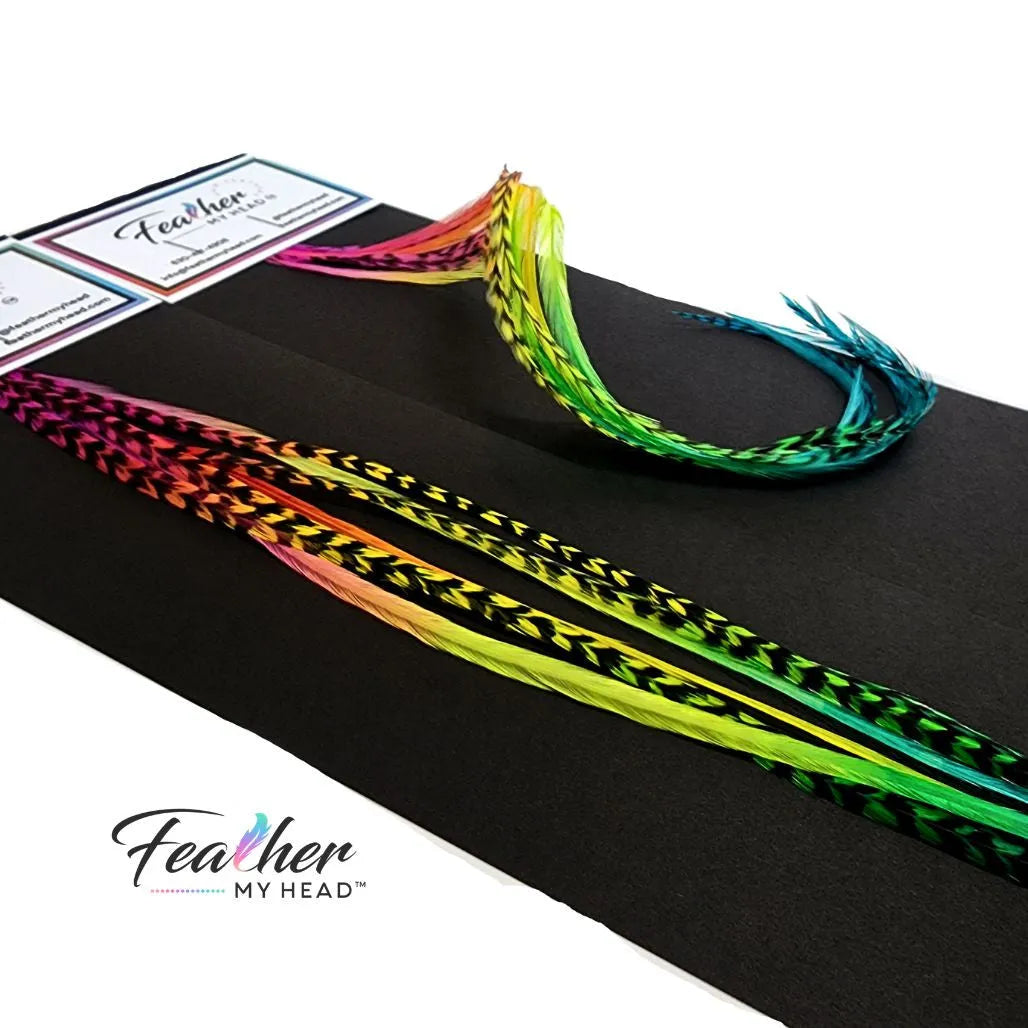 Hair Feathers Extension Kit With Very Long Multi Color Rainbow Feathers - Butterfly Kisses Set