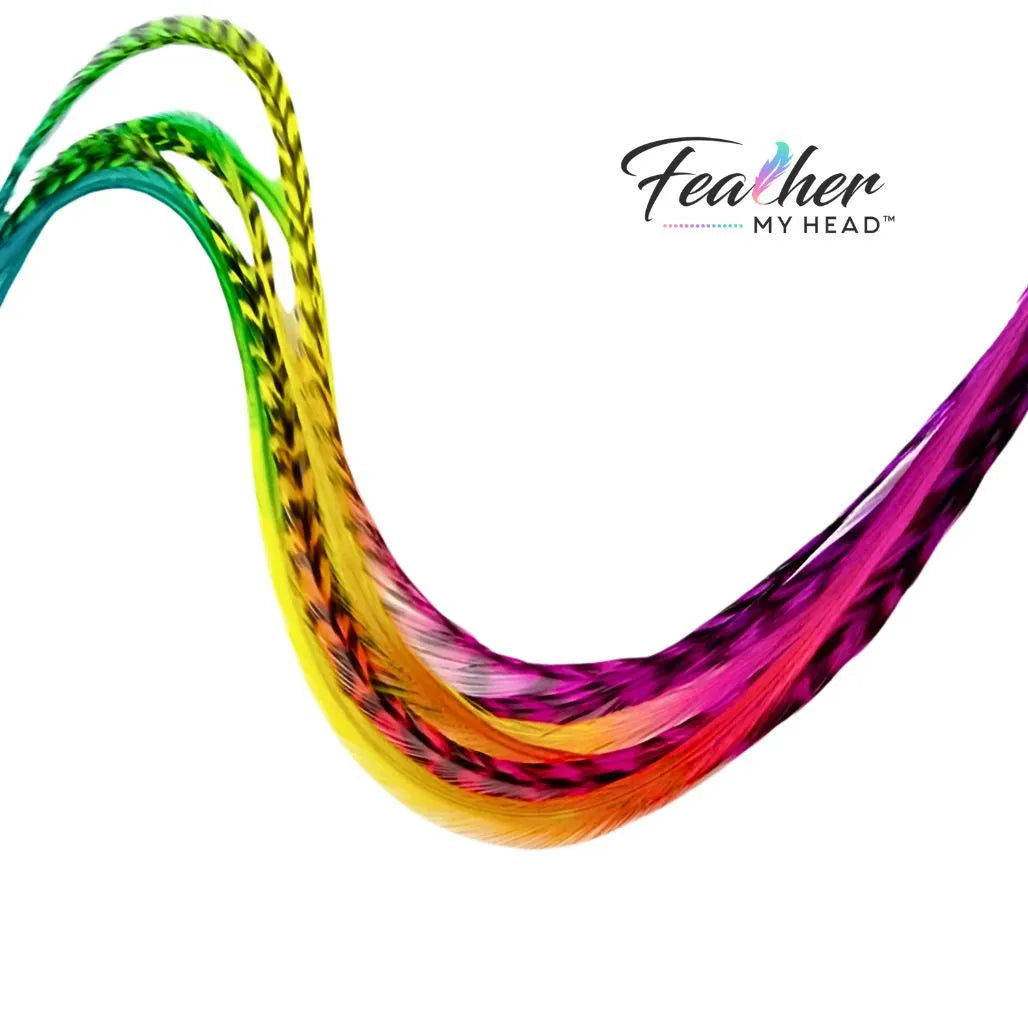 Hair Feathers Extension Kit With Very Long Multi Color Rainbow Feathers - Butterfly Kisses Set