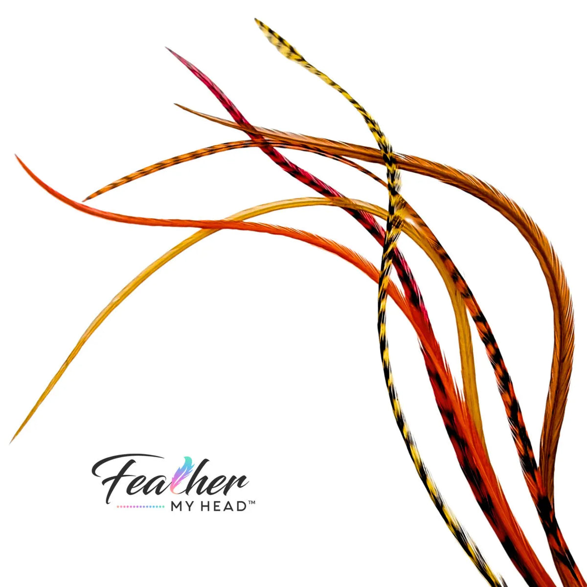 Feather Hair Extension Kit by Feather My Head. Mix of  brown, butterscotch yellow, orange and red feathers.  Real hair feathers in long lengths.