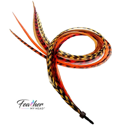 Feather Hair Extension Kit by Feather My Head. Mix of  brown, butterscotch yellow, orange and red feathers.  Real hair feathers in long lengths.
