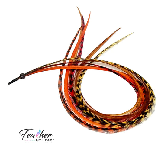 Feather Hair Extension Kit by Feather My Head. Mix of  brown, butterscotch yellow, orange and red feathers.  Real hair feathers in long lengths.