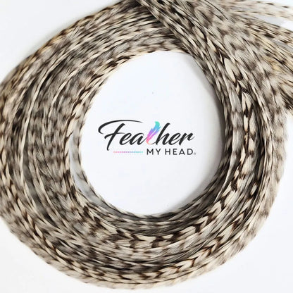 Dun Grizzly Hair Feathers -Real Feathers for Feather Hair Extensions in a White - Cream Color with Tan Stripes
Dun Grizzly feathers are real rooster feathers with a distinctive color and pattern. The Tan grizzly stripe gives this feather it's stunning visual appeal.  The striped pattern flow along the length of the adding a contrasting pattern and texture against the cream - white feather.