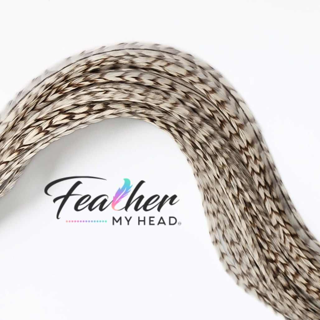Dun Grizzly Hair Feathers -Real Feathers for Feather Hair Extensions in a White - Cream Color with Tan Stripes
Dun Grizzly feathers are real rooster feathers with a distinctive color and pattern. The Tan grizzly stripe gives this feather it's stunning visual appeal.  The striped pattern flow along the length of the adding a contrasting pattern and texture against the cream - white feather.
