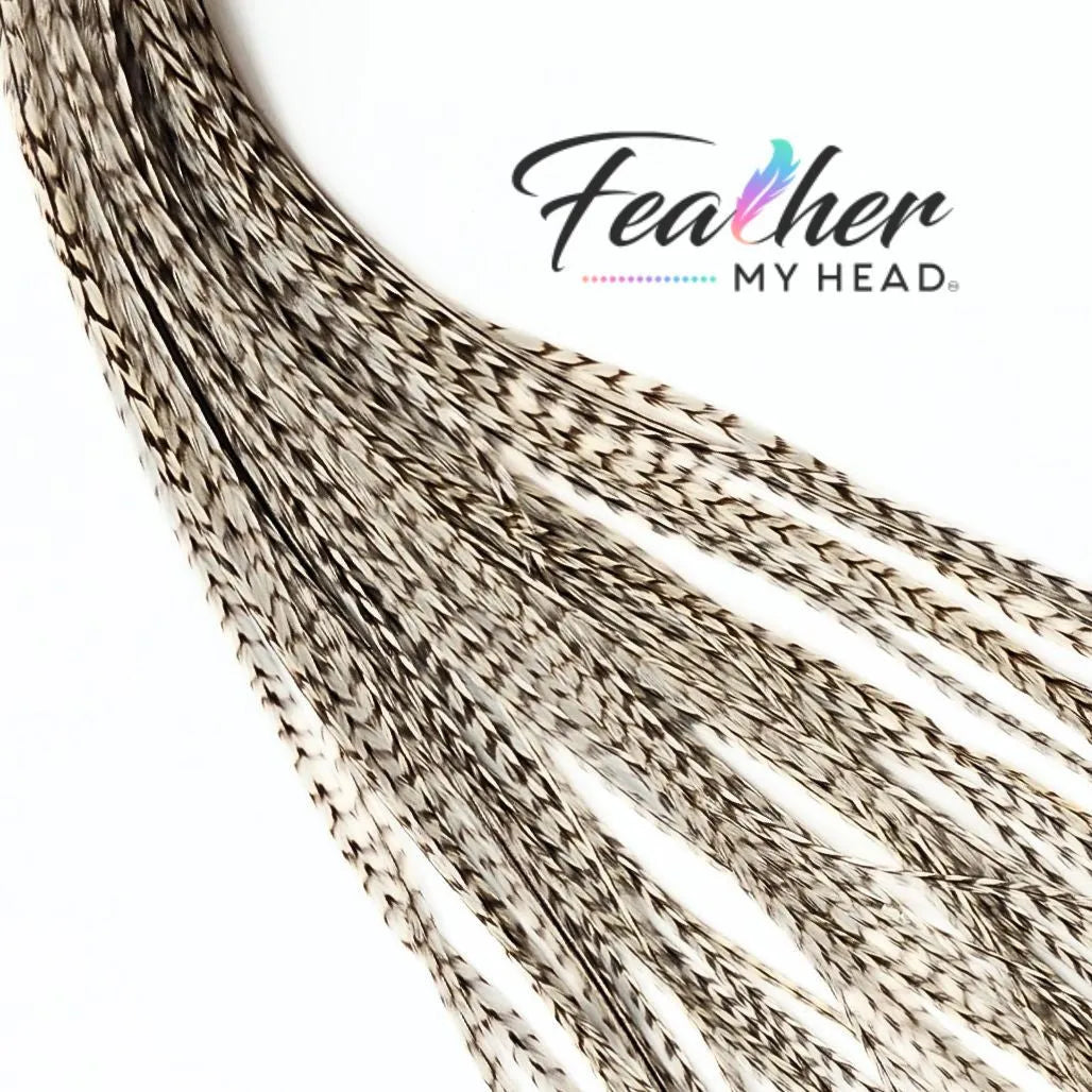 Dun Grizzly Hair Feathers -Real Feathers for Feather Hair Extensions in a White - Cream Color with Tan Stripes
Dun Grizzly feathers are real rooster feathers with a distinctive color and pattern. The Tan grizzly stripe gives this feather it's stunning visual appeal.  The striped pattern flow along the length of the adding a contrasting pattern and texture against the cream - white feather.