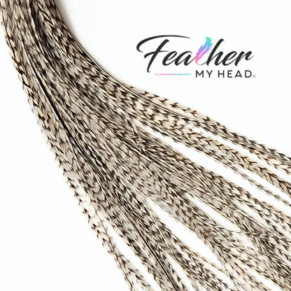 Dun Grizzly Hair Feathers -Real Feathers for Feather Hair Extensions in a White - Cream Color with Tan Stripes
Dun Grizzly feathers are real rooster feathers with a distinctive color and pattern. The Tan grizzly stripe gives this feather it's stunning visual appeal.  The striped pattern flow along the length of the adding a contrasting pattern and texture against the cream - white feather.